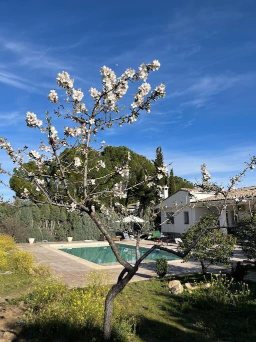 Casa Galiana. Villa Arges Exterior photo